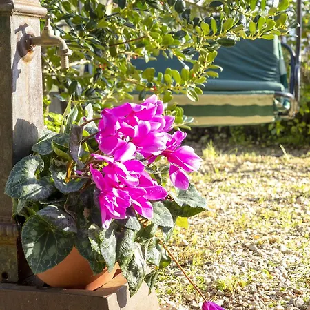 Casa Michela Tatil Evi