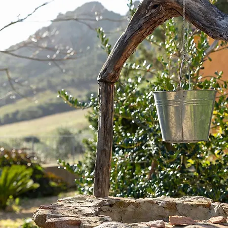 Casa Michela Tatil Evi *